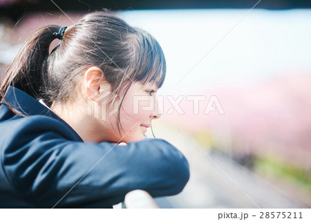 高校生と桜 高校生と桜 28575211