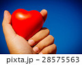 Heart in hand on sky background. 28575563
