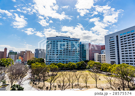 【福岡県】天神中央公園 28575574