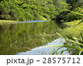 Mountain river in the province 28575712