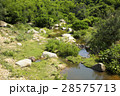 Mountain river in the province 28575713