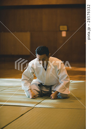 martial artist martial artist 28576332