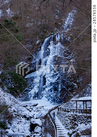 氷結した滝（愛媛県白猪の滝） 28576556