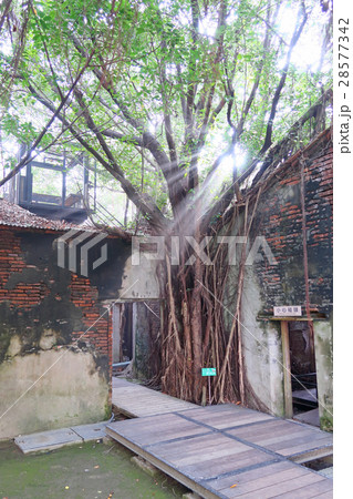 安平樹屋 安平樹屋 28577342