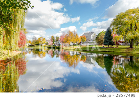 Pond in the Fall 28577499