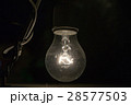Light bulb 28577503