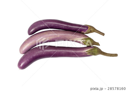 purple eggplant purple eggplant 28578160