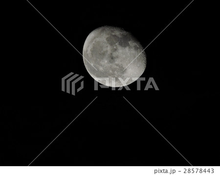 月 2月14日 大晦日 28578443