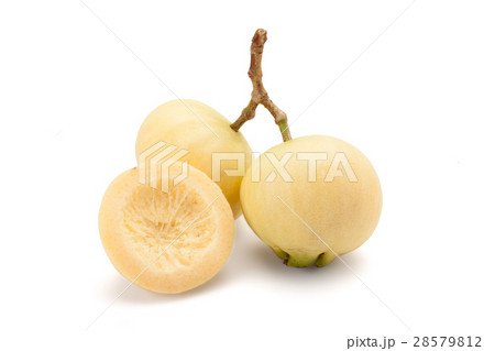 Syzygium jambos or rose apple Syzygium jambos or rose apple 28579812