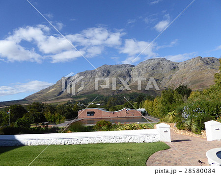南アフリカ西ケープ州ステレンボッシュのワイナリー 南アフリカ西ケープ州ステレンボッシュのワイナリー 28580084