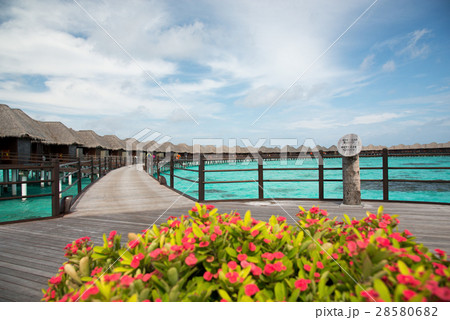 水上コテージ 28580682