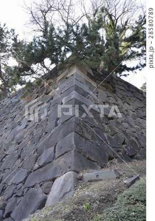 皇居東御苑の汐見坂の石垣 皇居東御苑の汐見坂の石垣 28580789