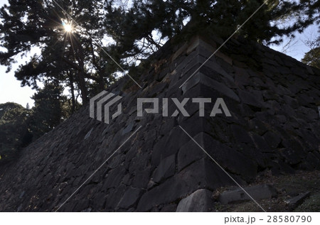 皇居東御苑の汐見坂の石垣 皇居東御苑の汐見坂の石垣 28580790
