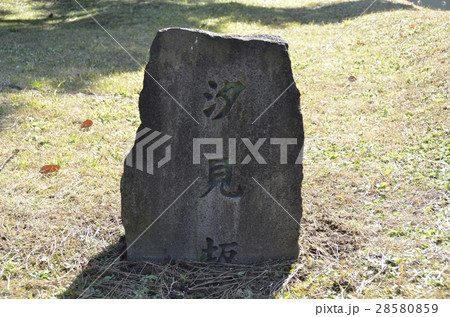 皇居東御苑の汐見坂石碑 28580859