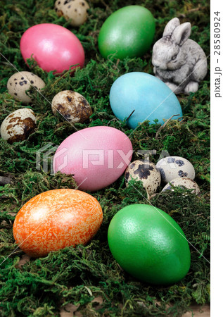 Easter colored eggs Easter colored eggs 28580924