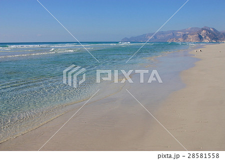 オマーン サラーラ イエメン近くの静かなビーチ 28581558