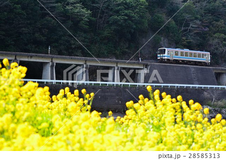 桜と三江線 28585313