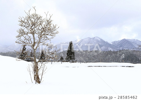 雪景色の蒜山高原 28585462