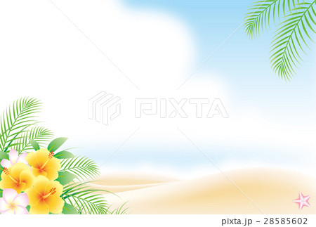 ハイビスカスの咲く夏の砂浜　 28585602