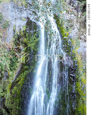 桃山 武陵農場 滝 28586149