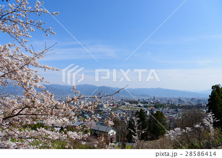 長野 桜と町並み 善光寺雲上殿からの眺め 長野 桜と町並み 善光寺雲上殿からの眺め 28586414