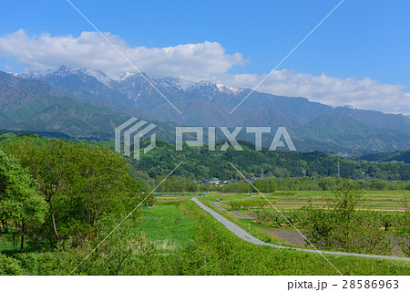 長野　中央アルプスと伊那谷の田園風景 28586963