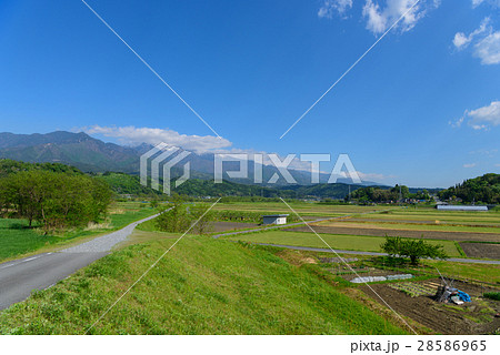 長野 中央アルプスと伊那谷の田園風景 長野 中央アルプスと伊那谷の田園風景 28586965