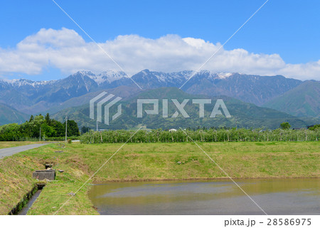 長野 中央アルプスと伊那谷の田園風景 長野 中央アルプスと伊那谷の田園風景 28586975