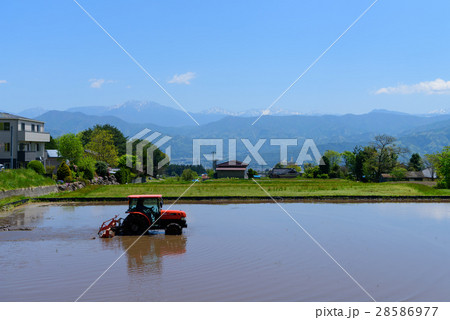 長野　中央アルプスと伊那谷の田園風景 28586977