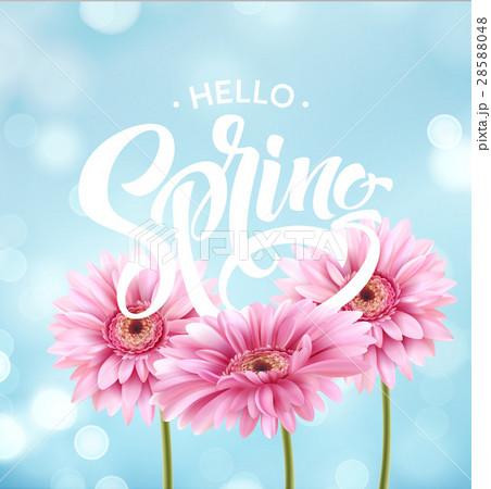 Gerbera Flower Background and Spring Lettering 28588048