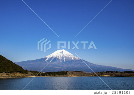 田貫湖から望む冬の富士山 28591102