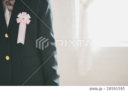 various various 28591595