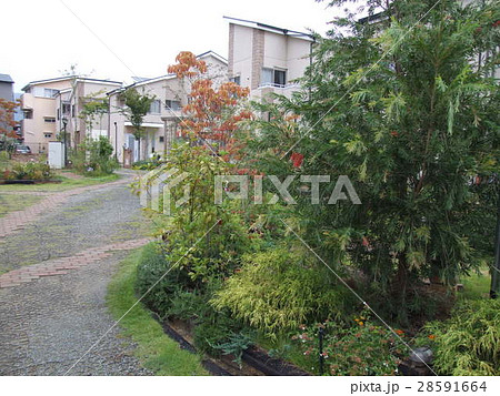 住まいの外観 分譲住宅 住まいの外観 分譲住宅 28591664