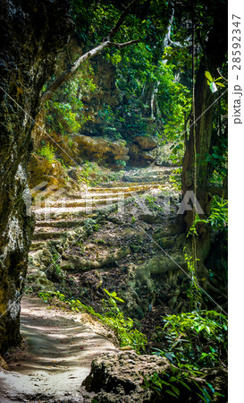 Stone staircase leading on Tembeling pool, Nusa 28592347