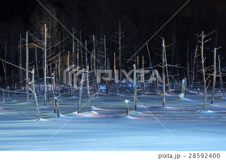 青い池ライトアップ 28592400