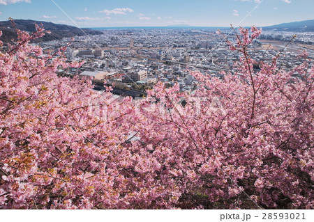 桜山からの眺望 28593021