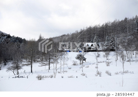 冬の晴天「入笠山」南アルプス 28593447