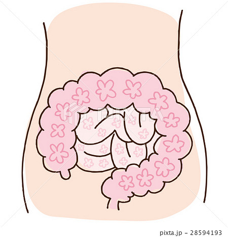 腸内フローラ 28594193