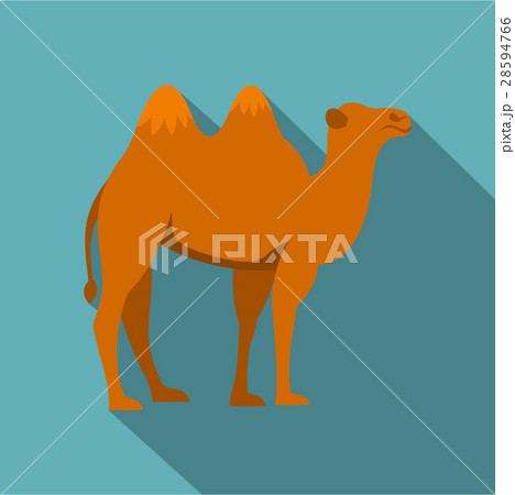 Camel icon, flat style 28594766