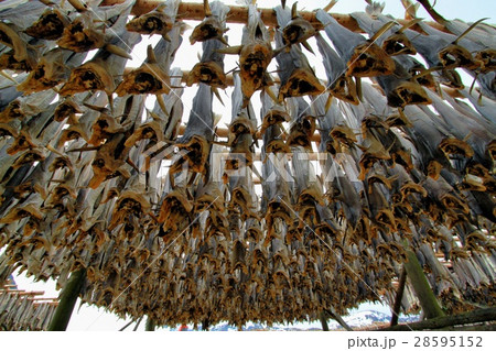 アナ雪の舞台 ノルウェー 28595152