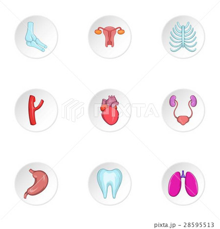 Human organs icons set, cartoon style 28595513
