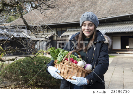 インバウンドイメージ 28596750