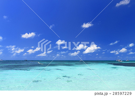 オーストラリアグリーン島 28597229