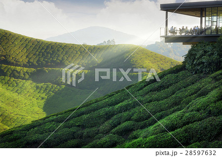 Viewpoint on the top of cameron highland Viewpoint on the top of cameron highland 28597632