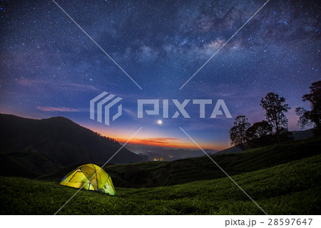 The Milky Way rises over the Tea plantation 28597647