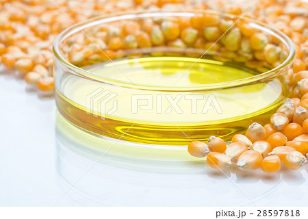 Research corn energy, biofuel and gmo laboratory Research corn energy, biofuel and gmo laboratory 28597818