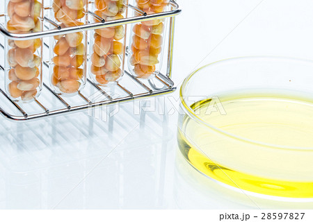 Research corn energy, biofuel and gmo laboratory 28597827