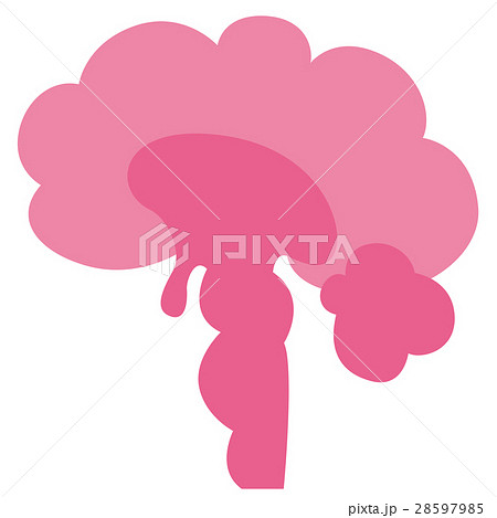 シンプルな脳 28597985