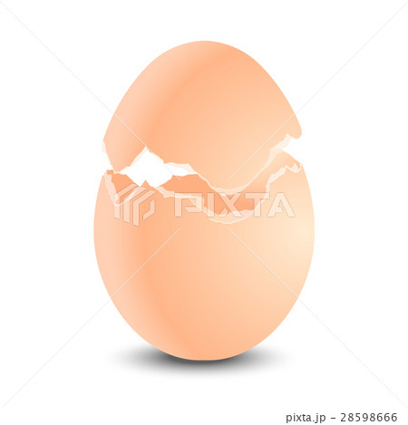 egg shell broken 28598666