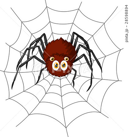Cute spider cartoon Cute spider cartoon 28598894